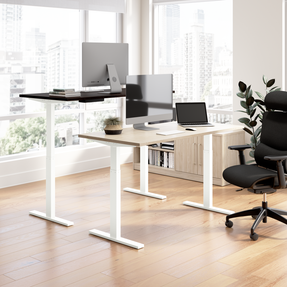 72W x 30D Height Adjustable Standing Desk