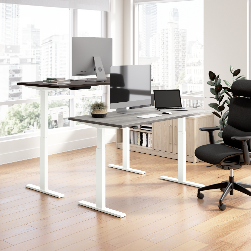 48W x 24D Height Adjustable Standing Desk