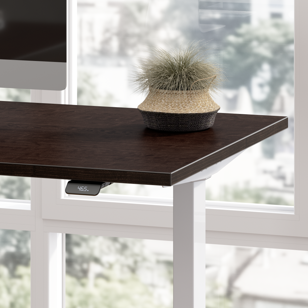 72W x 30D Height Adjustable Standing Desk